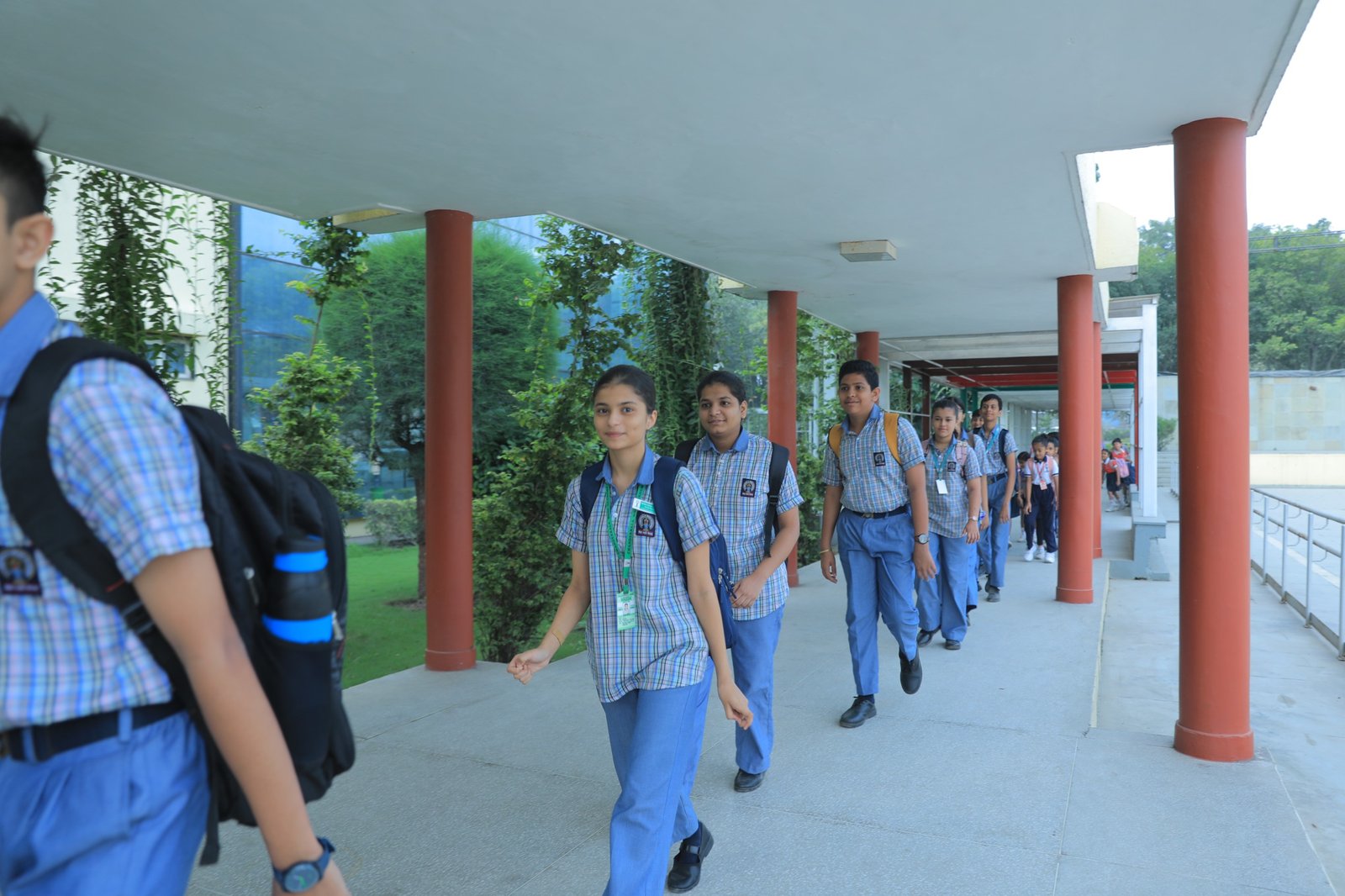 Customized Learning and Innovation